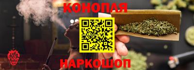 дмт Бийск