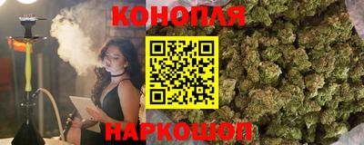 дмт Бийск