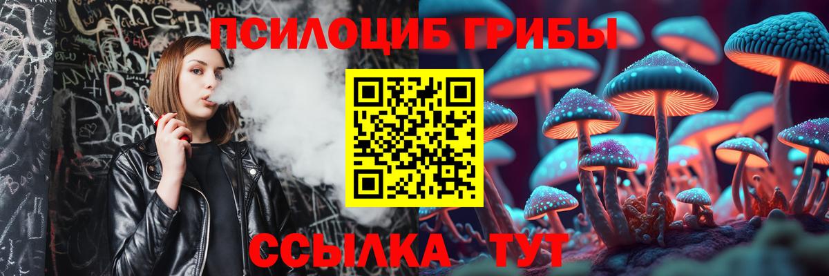 хочу   Вход с VPN  Карпинск  Галлюциногенные грибы Cubensis 